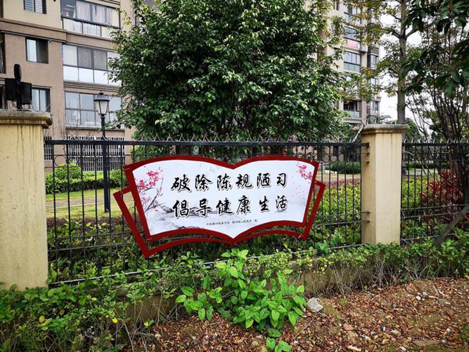 小巷网信息科技